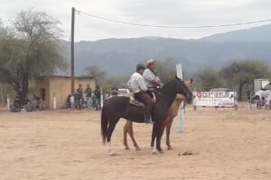 Cooperativa El Chacho Peñaloza