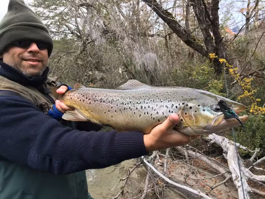 Cordillera Fly – Excursiones de pesca en Villa La Angostura