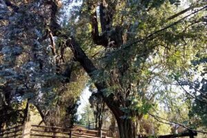 Córdoba Alquiler Temporario