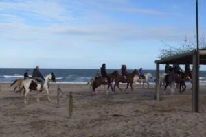 Costa Esmeralda Guests – Bosque Lote 3