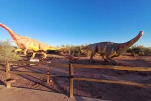 Cousins Travel Viajes