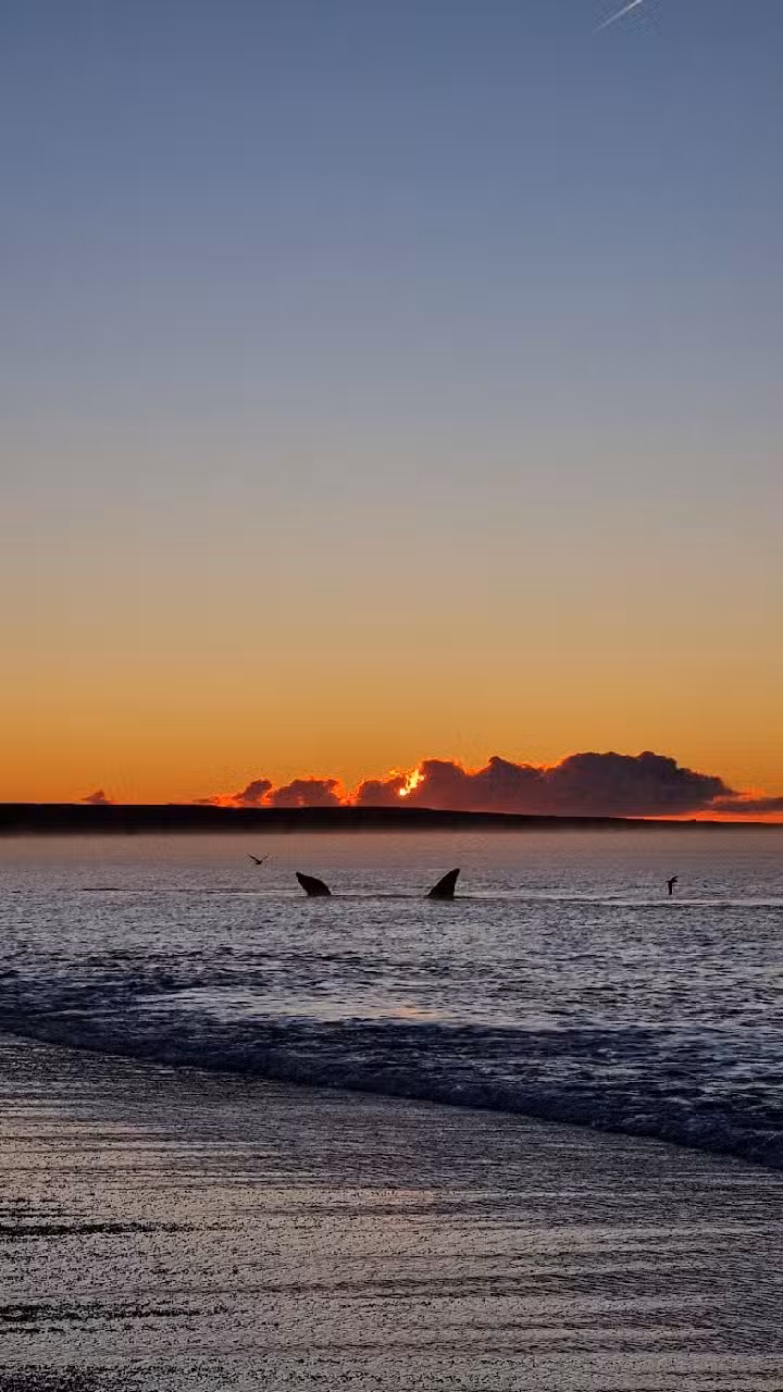 Den Dulk Viajes y Turismo