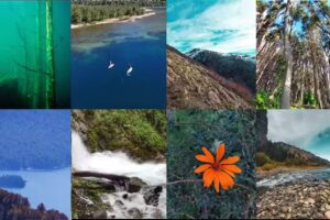 DESCUBRÍ VILLA TRAFUL