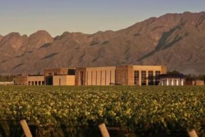 Despedidas de Soltero/a – Despedidas.VIP