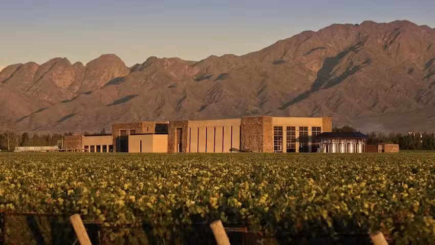 Despedidas de Soltero/a – Despedidas.VIP