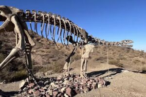 Destacamento del Parque Ischigualasto