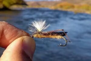 Devónico Fly Fishing