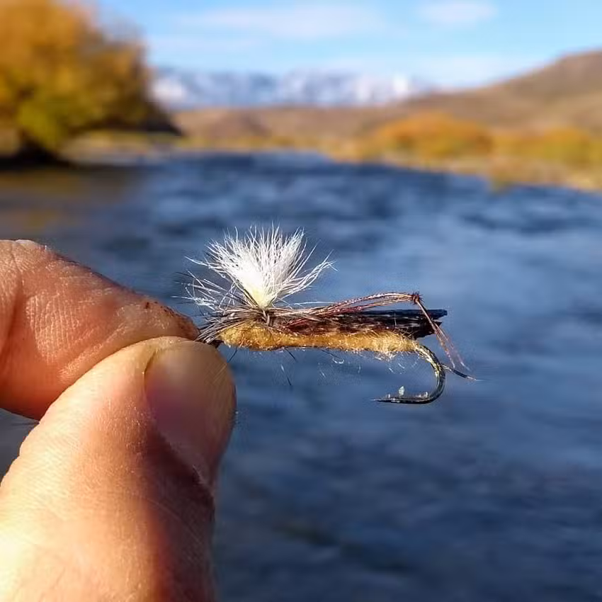 Devónico Fly Fishing