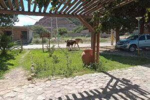 Dirección de Turismo de Hualfín