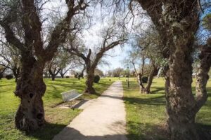 Dirección de Turismo de Tres Arroyos