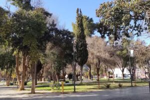 Dirección de Turismo Famatina