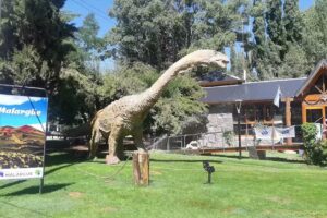 Dirección de Turismo Malargüe