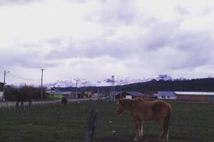 Direccion de Turismo y Terminal de Omnibus
