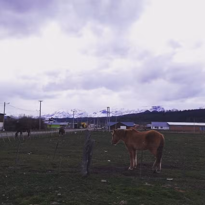 Direccion de Turismo y Terminal de Omnibus