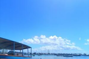 Diseño Integral Viajes y Turismo