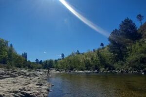 Don Octavio – Alpinas Serranas