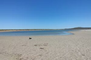 Doradas Kayak Excursión