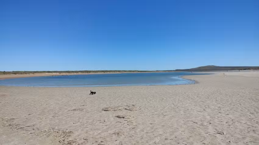 Doradas Kayak Excursión