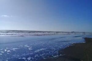 Edificio Novomar Alquiler temporario 7mo «i»