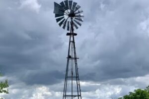 El Cencerro – Casa de Campo