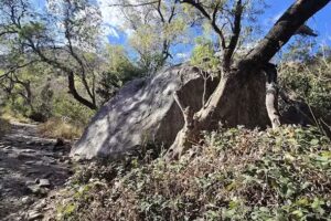 El Chaguar Excursiones