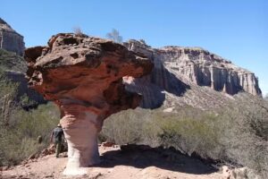 El Chiflón | Excursiones + Chivito | Cerca de Talampaya