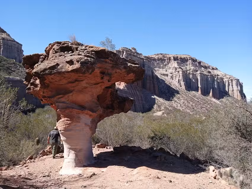 El Chiflón | Excursiones + Chivito | Cerca de Talampaya