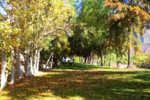 El Mirador Turismo Naútico