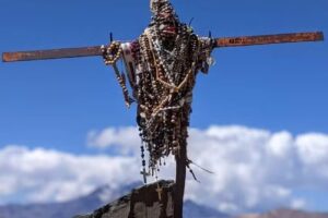 El ratón de campo evt