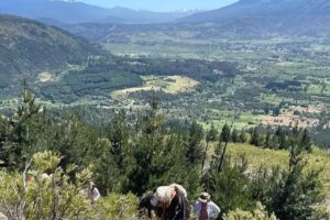 El Relincho Cabalgatas y Equitacion