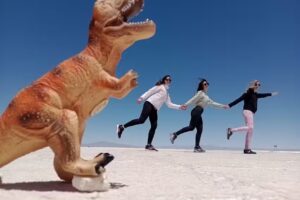 Esencia del Norte N° 18259