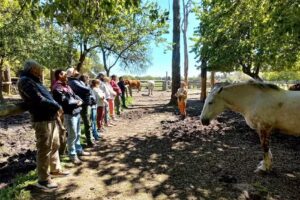 Esencia Ecuestre Punta Indio