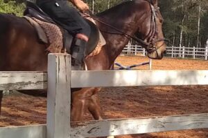 ESTABLECIMIENTO CARAGUATAY