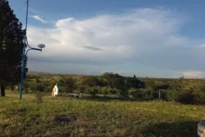 Establecimiento EL MORO