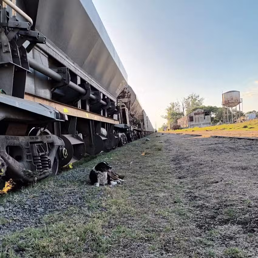 Estación de trenes de carga «Curuzu Cuatia»