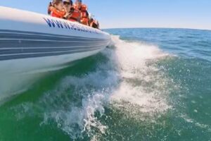 Estación Marítima Commersonii