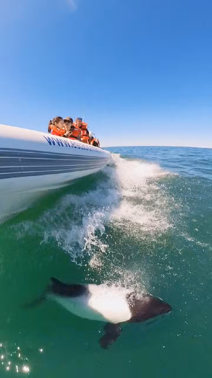 Estación Marítima Commersonii