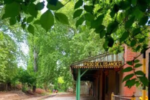 Estación Paso de los Andes. Bicitren. Tren del vino