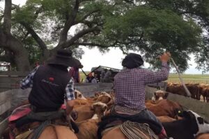 Estancia Don Joaquín