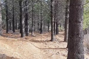 Estancia Valle Limay