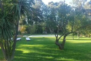 Estancia Villa Flor (casa de campo)