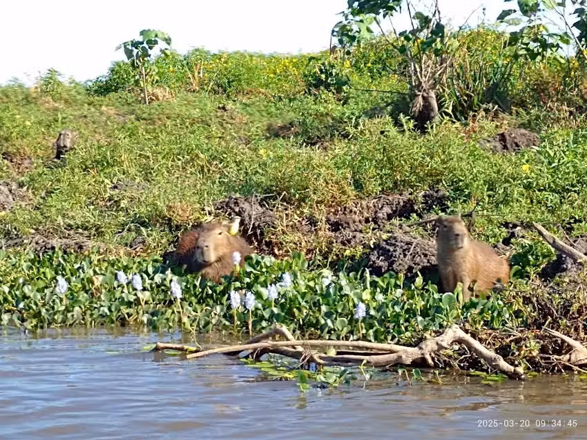ESTERO ÑE’E Excursiones en Ibera