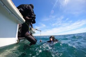 Euforia viajes Suc Madryn