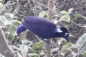 Excursiones Calamuchita