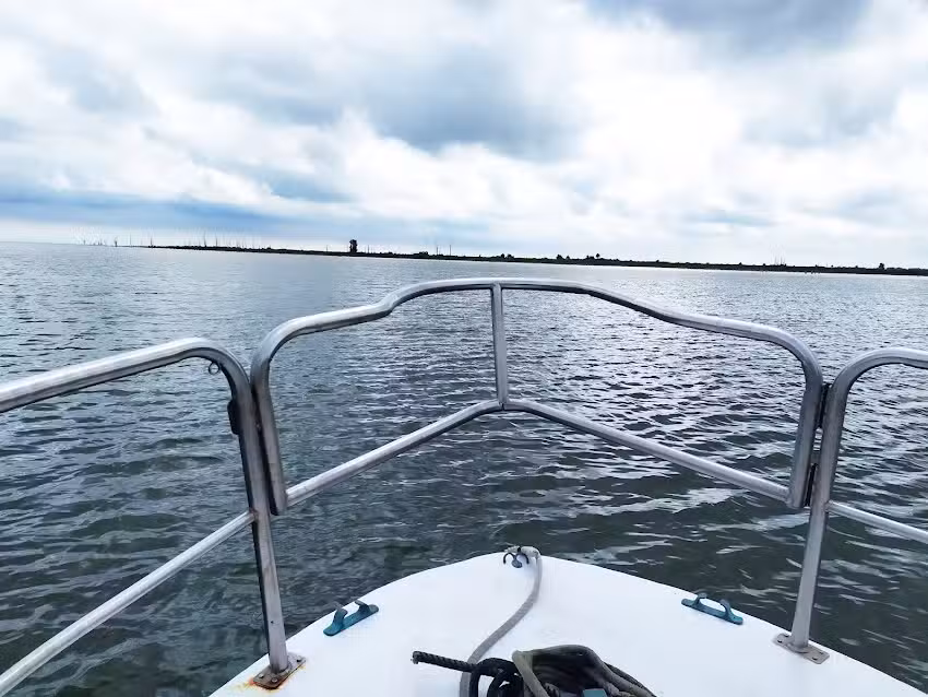 Excursiones en Barco