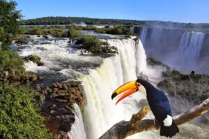 Experience Argentina