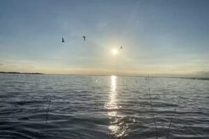 Experiencia Corrientes