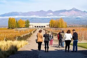 Experiencia Mendoza.