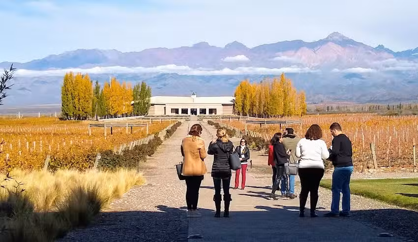 Experiencia Mendoza.