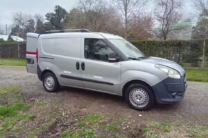 F100 Fletes y Minifletes